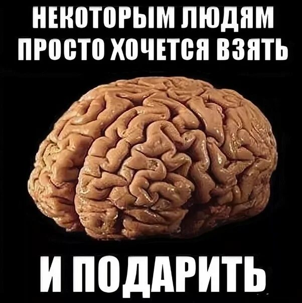 Мозг в подарок. Дарю мозг. Мозг потерялся. Мозг прикол. Глупый хотеться