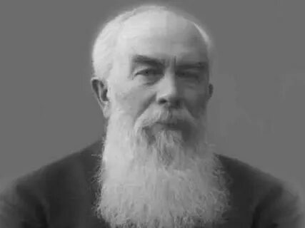 Абрикосова