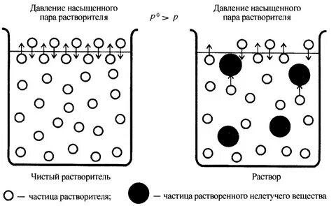Давление пара над раствором
