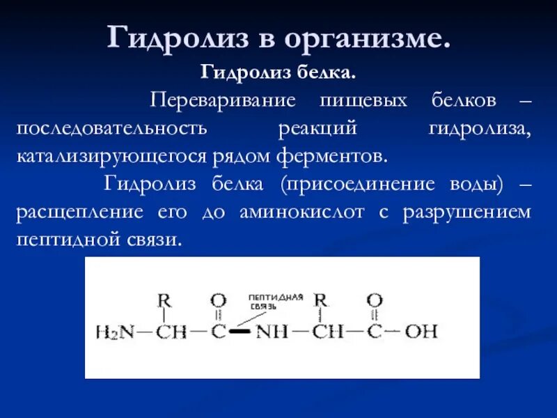 Реакция гидролиза пищевых белков. Гидролиз белков уравнение реакции. Гидролиз белков схема реакции. Гидролиз белков общая схема.