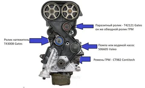 Помпа ремня грм