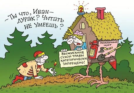 Дурак читать