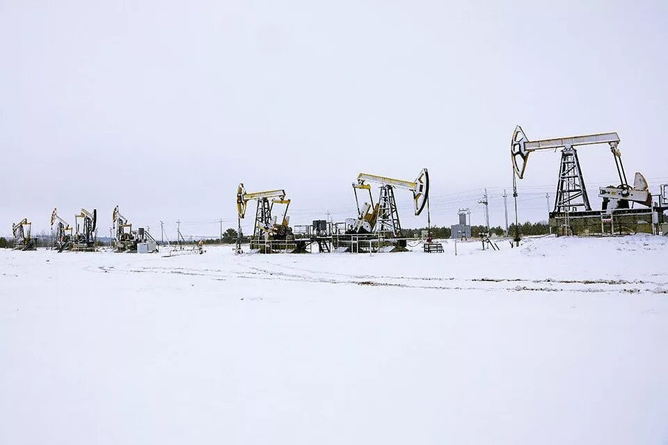 Ельниковское месторождение нефти. Областновское месторождение нефти удмуртия. Удмуртия месторождения. Гремихинское месторождение удмуртия. Удмуртия месторождения.