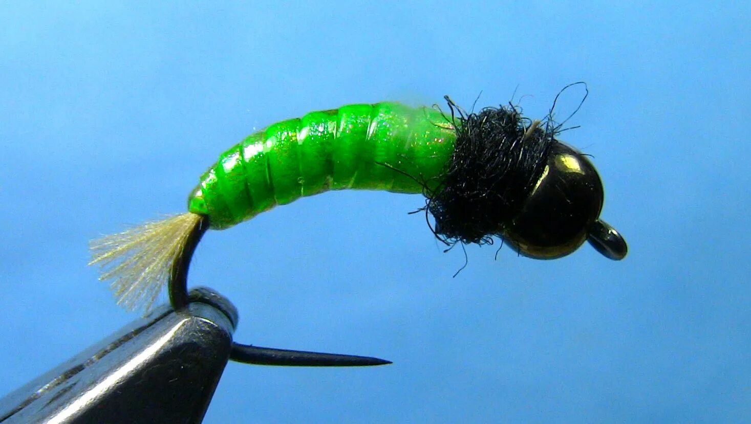 Покажи мушку. Caddis Larva мушка. Муха зеленая нахлыстовая. Нахлыстовая мушка медведка. Мушка кузнечик для нахлыста.