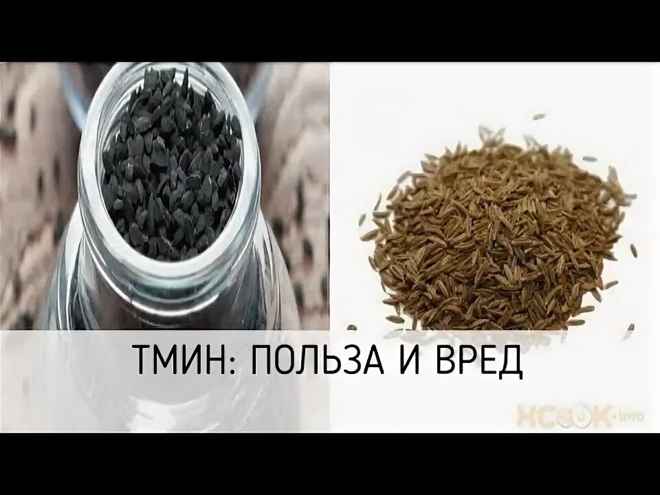 Тмин польза и вред для организма. Тмин польза и вред. чай с тмином. тмин польза. тмин польза и вред для организма человека.
