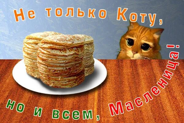Не все коту масленица слушать. Кот с блинами на масленицу. масленица котики. масленица рыжий кот. масленица коты открытки.
