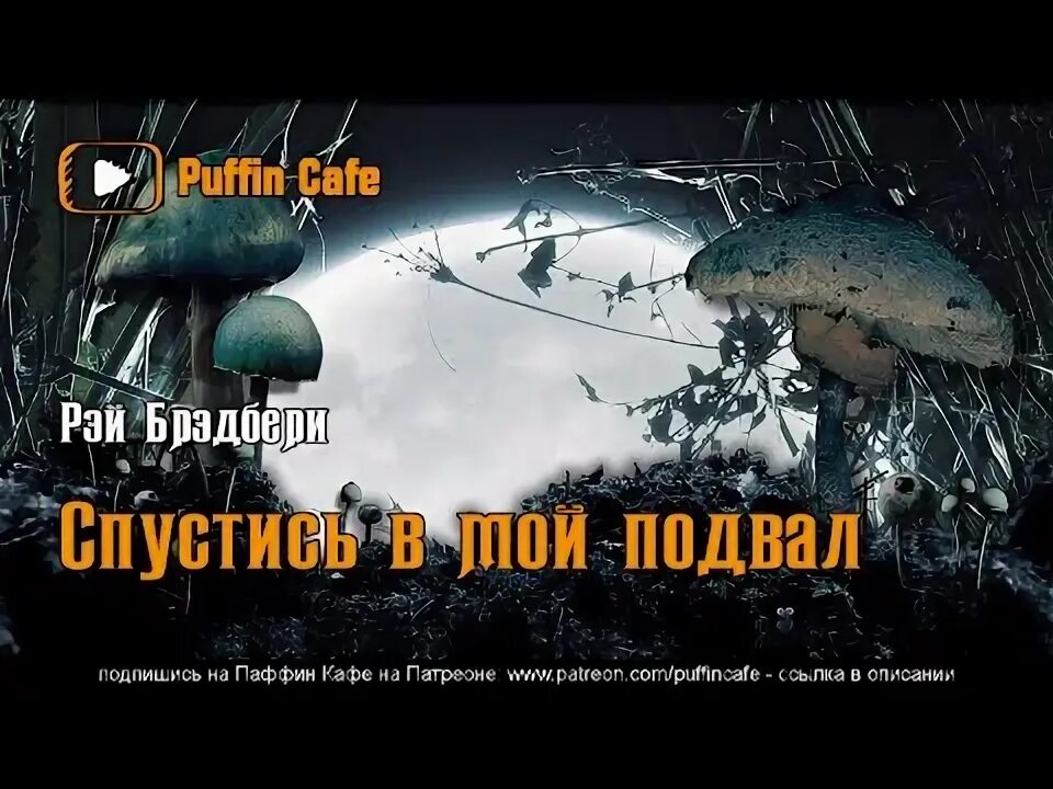 Го в подвал мем. Смешной подвал. It's not me it's my basement эмбри. Basement game. Это не я это мой подвал.