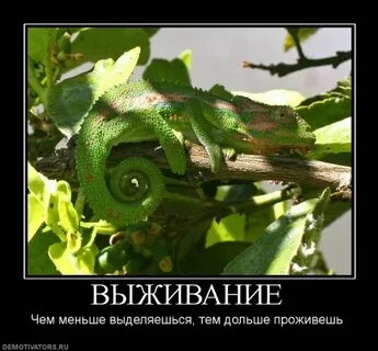Те долго не жили