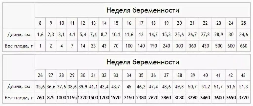 30 недель это. Вес плода в 31 неделю беременности. Вес плода в 20 недель беременности норма таблица. Вес ребёнка в 31 неделю беременности норма. Вес плода в 22 недели беременности.