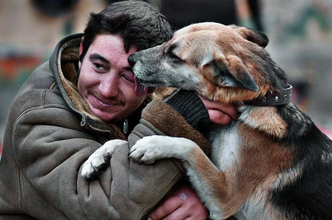 Животные друзья человека. Собака и человек дружба. Любовь к животным. Дружба человека и собаки. Ребенок обнимает собаку.