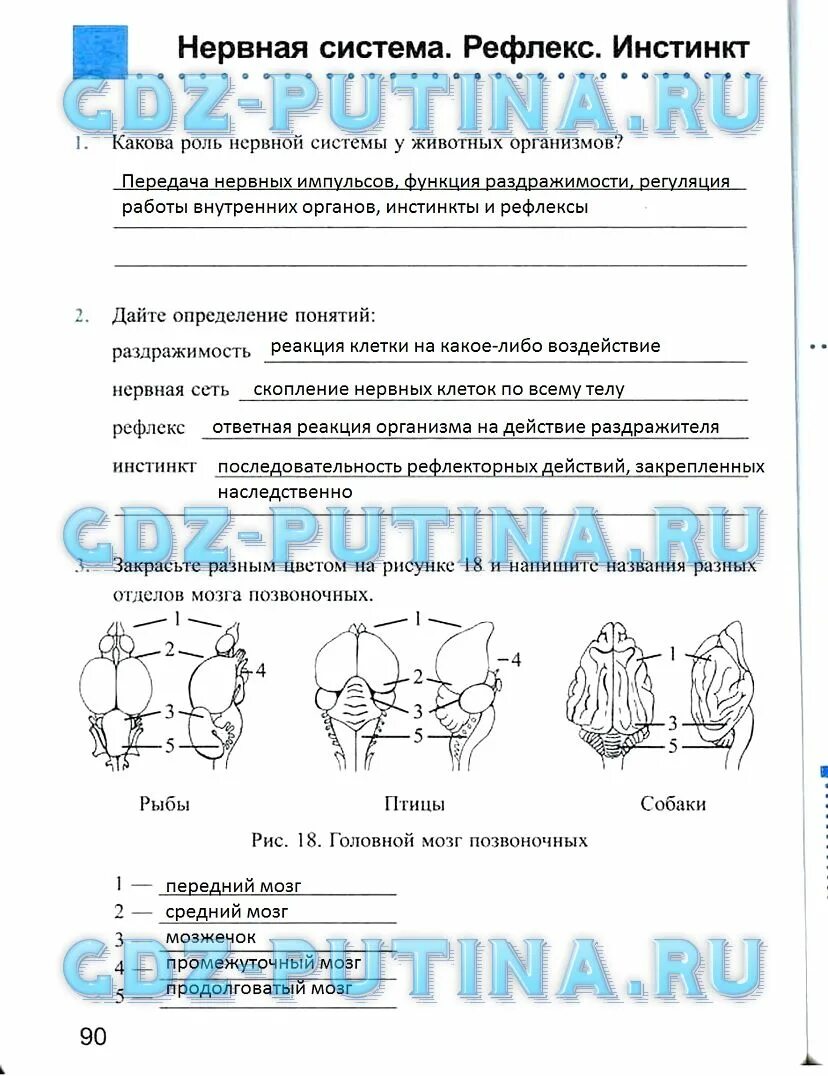 Биология 7 класс нервная система рефлекс инстинкт. Нервная система рефлекс инстинкт. Рефлексы и инстинкты животных. Нервная система рефлекс инстинкт 7 класс кратко. Тетрадь с работами по биологии 7 класс Преображенская.