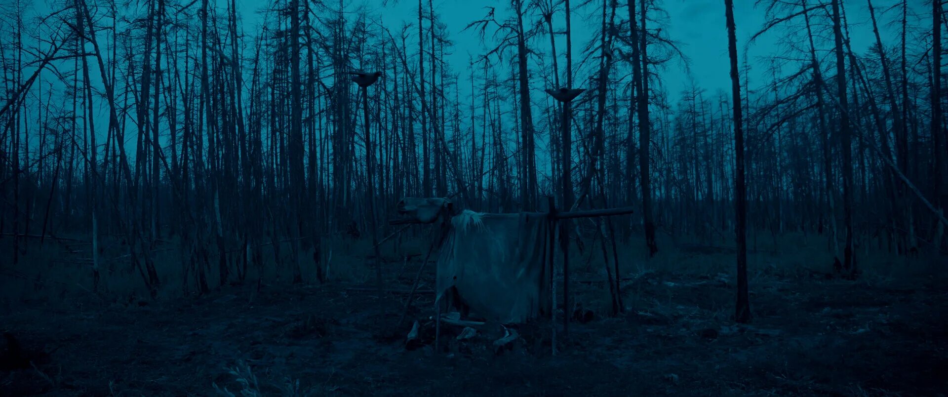 Мертвая земля (2022). Проклятая земля фильм 2016. Проклятые земли nival. Проклятый фэнтези. Мертвая земля фильм 2009.