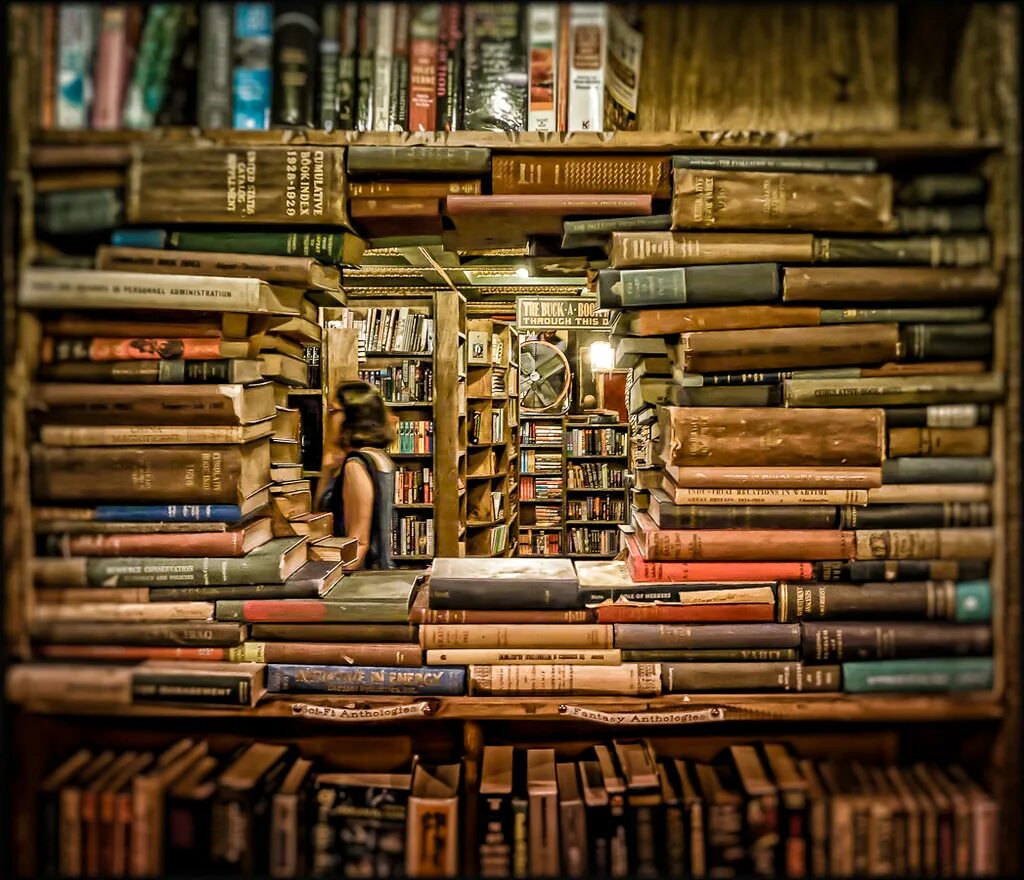 Из ее окна книга. The last bookstore, Лос-Анджелес. Книга на окне. Книга окно в мир. The last bookstore картинка.