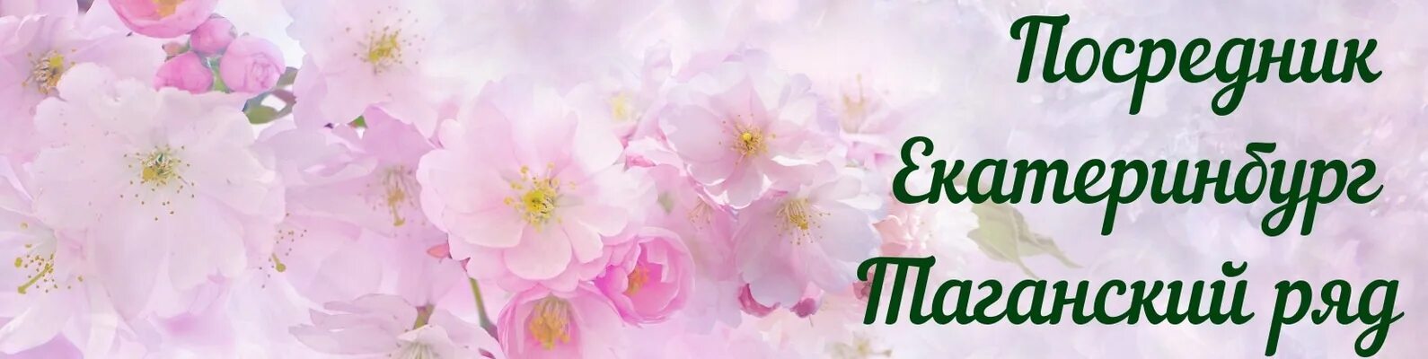 Посредник екб. Приглашаем к сотрудничеству. Посредник екатеринбург. Екатеринбург таганские ряды посредники. Посредник екатеринбург.