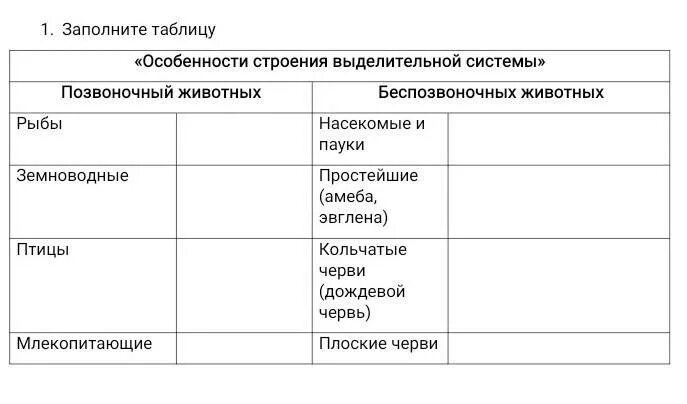 Используя текст параграфа заполните таблицу позвоночных животных. Таблица позвоночных животных. Выделительная система позвоночных и беспозвоночных. Позвоночные и беспозвоночные таблица. Выделительная система позвоночных таблица.