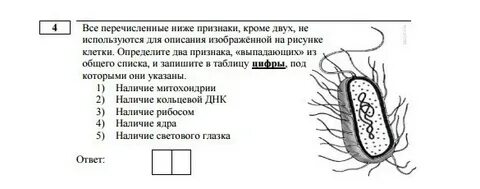 Что объединяет приведенные ниже признаки