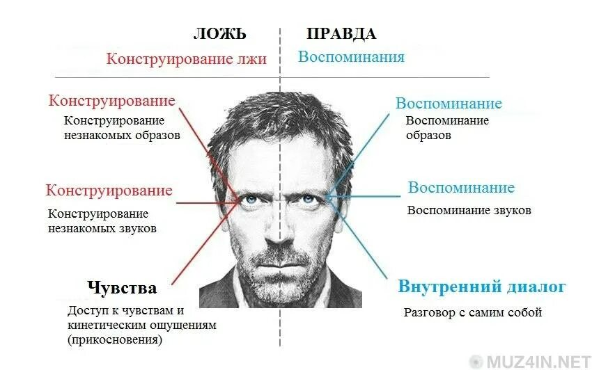 Вранье значение. Как понять что человек врет. Как понять что человей врёт. Распознать ложь по глазам. Взгляд человека психология.