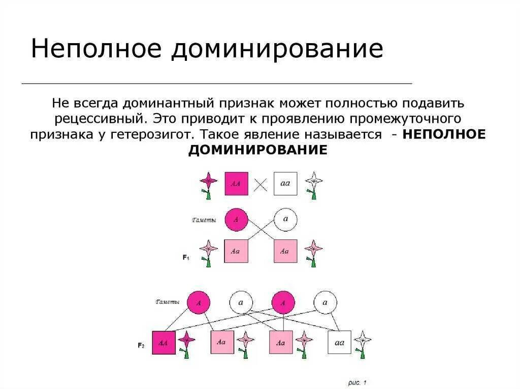 В случае доминирования по определенному признаку