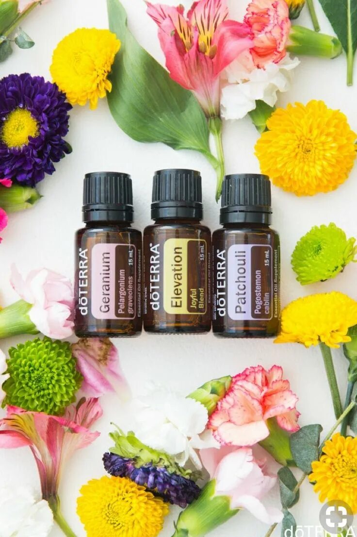 Лаванда doterra. Арома класс. Ароматач дотерра масло. Эфирные масла дотерра. Арома встреча дотерра.