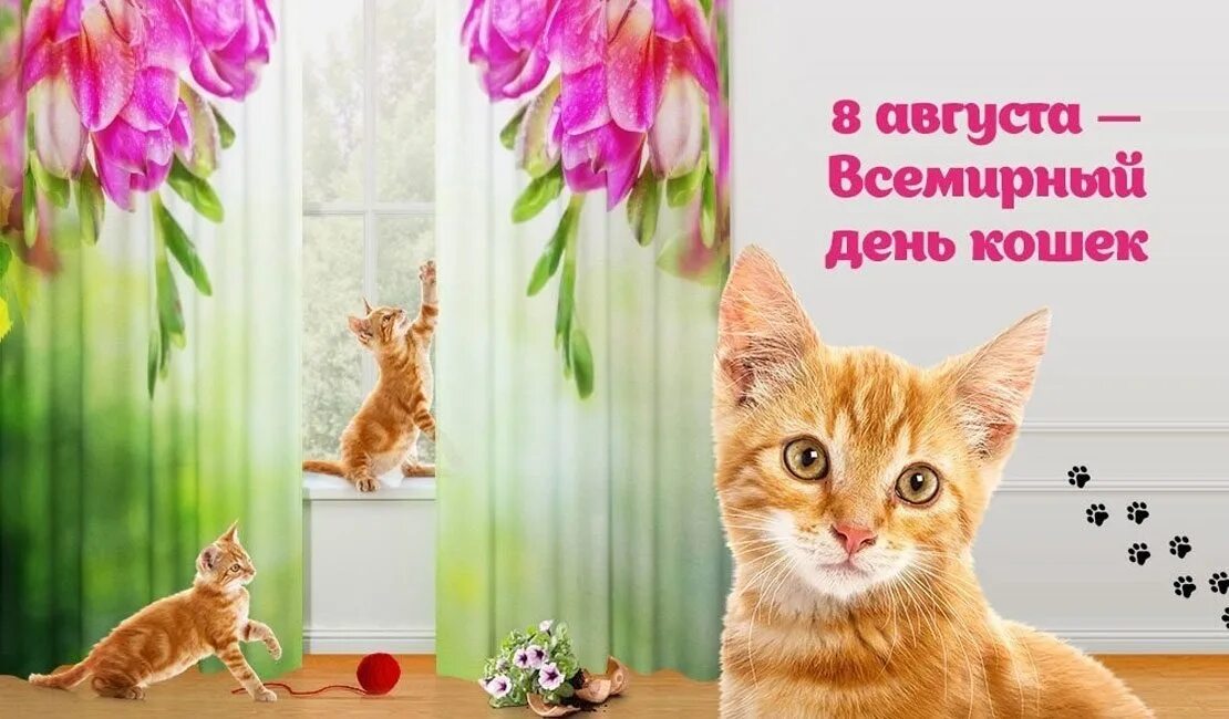 Всемирный день кошек поздравления. Всемирный день кошек. Всемирный день кошек 8 августа. Всемирный день кошек открытки. Всемирный день кошек 8 августа открытки.