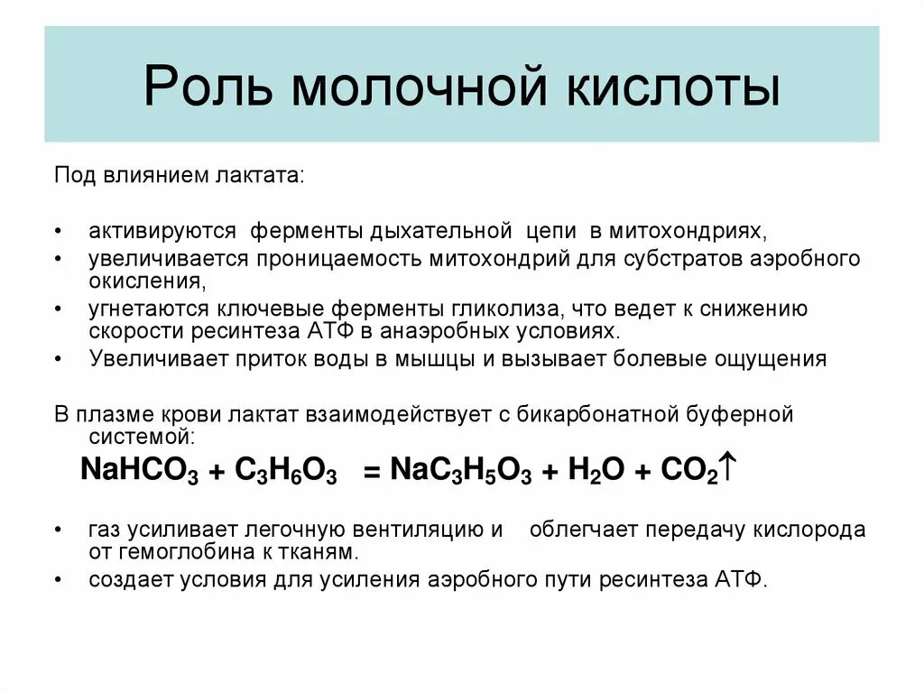 Образование молочной. Молочная кислота биологическая роль. Функции молочной кислоты. Дальнейшее использование молочной кислоты. Источники и пути использования молочной кислоты.