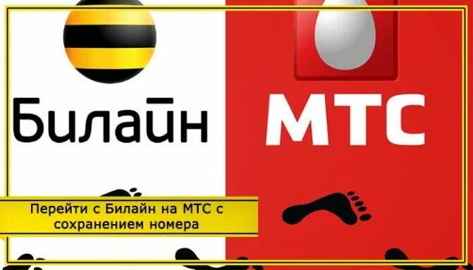 Перейти с сохранением номера. Мтс билайн номера. билайн логотип. переход с билайна на мтс с сохранением номера. перйти с билана на мтс с сохранением номера.