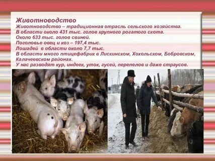 Экономика воронежского края 3 класс окружающий мир