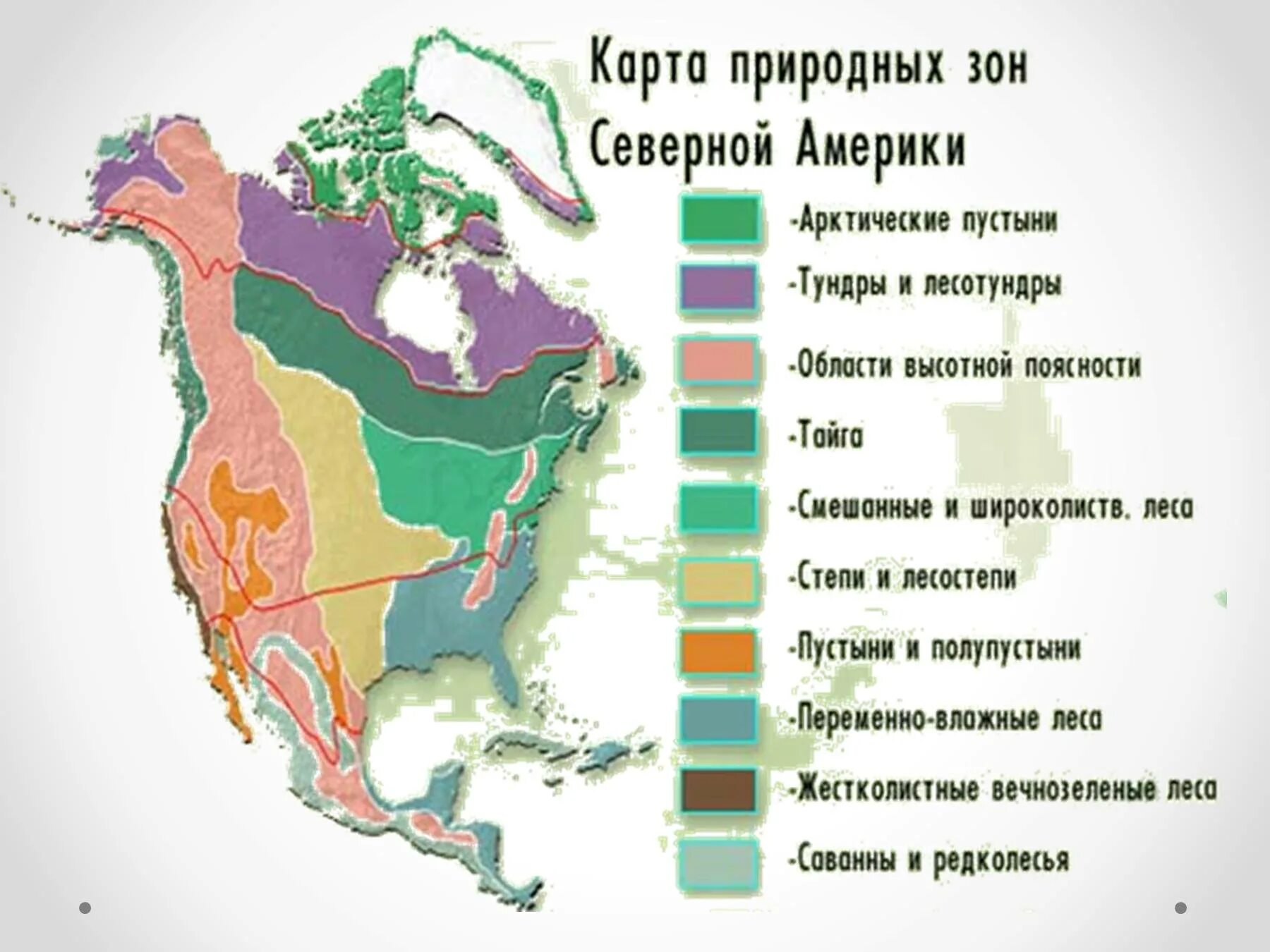 Какая природная зона занимает внутренние районы материков. Карта природных зон Сев Америки. Карта природных зон Северной Америки. Карта природных зон Северной Америки 7 класс география. Климатические пояса и природные зоны Северной Америки.