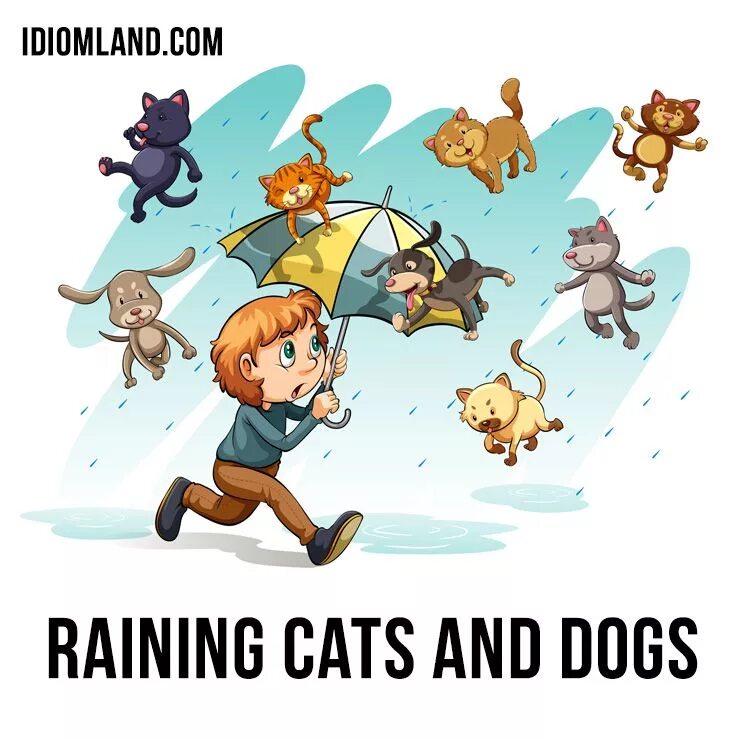 Raining meaning. Идиомы it's raining Cats and Dogs. Rain Cats and Dogs идиомы. Raining Cats and Dogs идиома. It Rains Cats and Dogs.