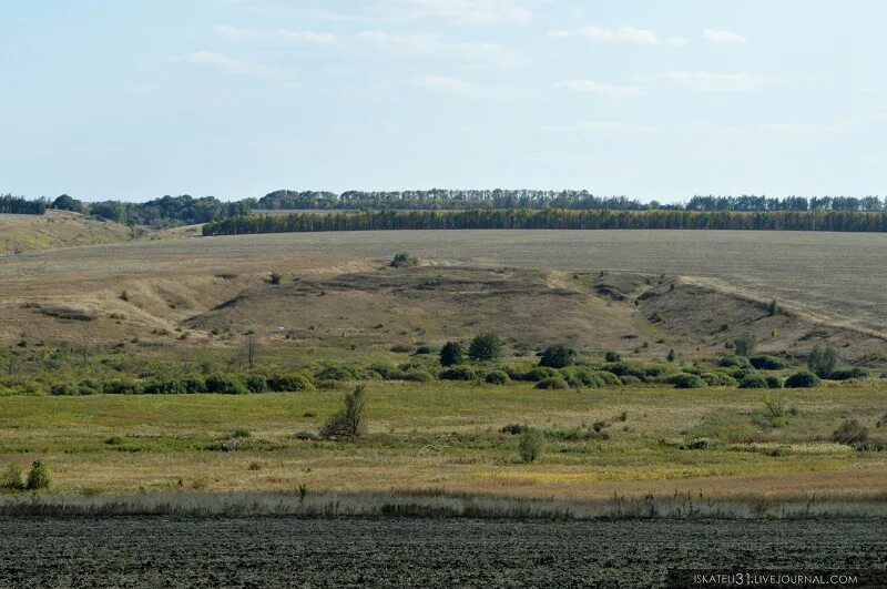 Елец городище. Села городища. Село городище корочанского района белгородской области. Городище орловская область урицкий район. Села городища.