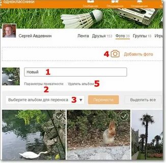 Вставить ок