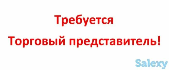 Авито работа торговый представитель. Торговый представитель. требуется торговый. вакансия торговый представитель. торговый представитель надпись.