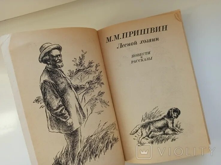Пришвин лесной хозяин текст. Пришвин лесной хозяин. Лесной хозяин пришвин иллюстрации. Рассказ лесной хозяин. Пришвин лесной шатер.