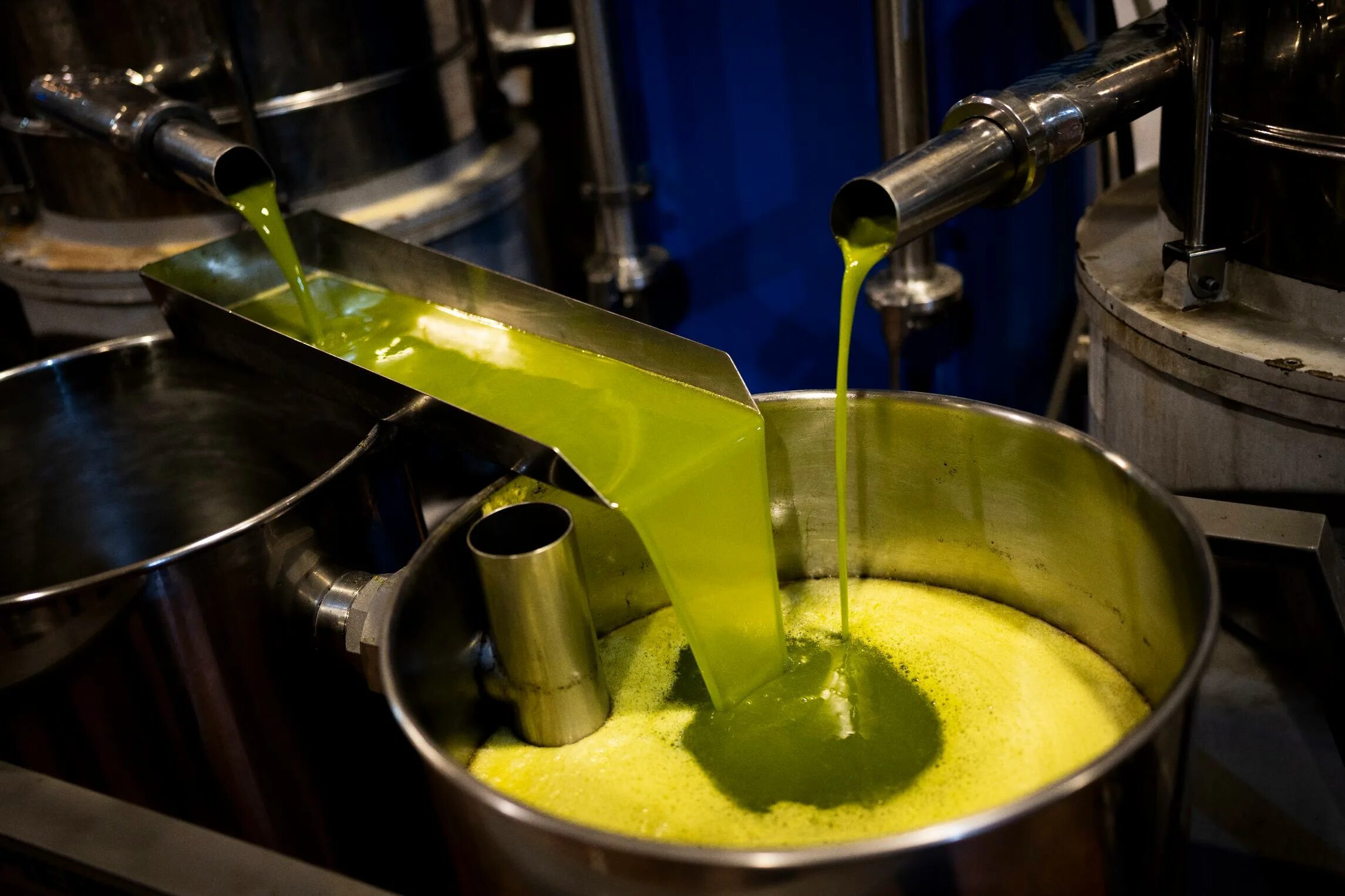 Производство оливкового масла. Оливковое масло производство Грузия. Мастер класс приготовление оливкового масла. Оливковый завод Чили.