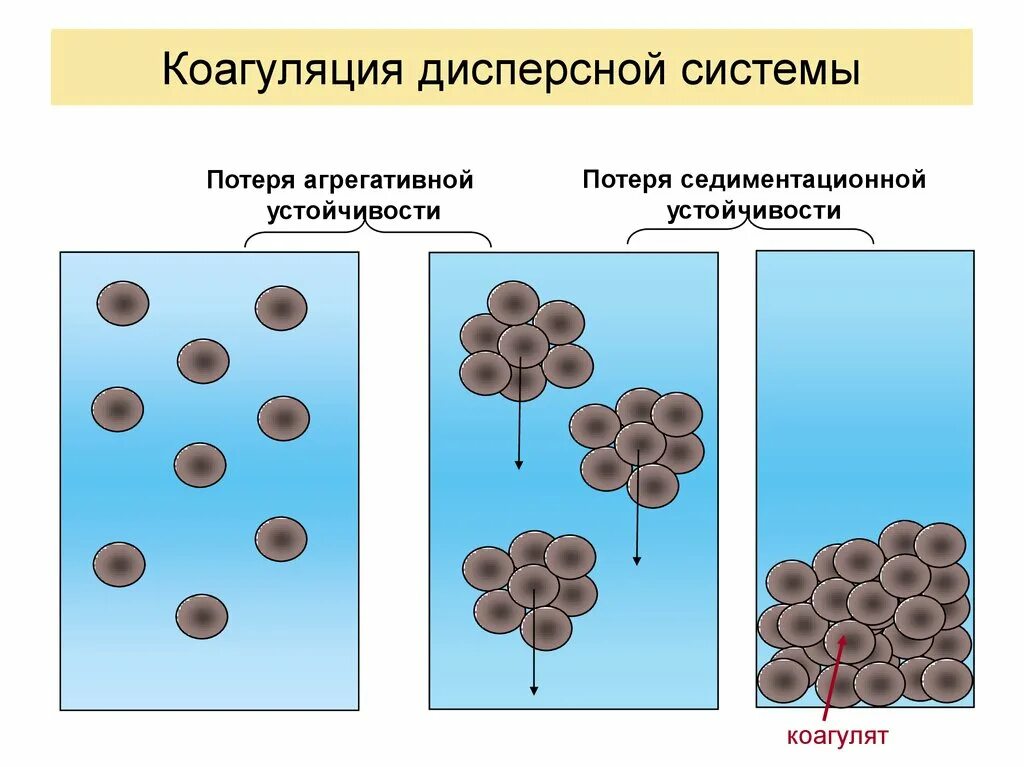 Слипание коллоидных частиц. Седиментационная устойчивость дисперсных систем. Коагуляция и флокуляция. Коагуляция (дисперсная система). Дисперсные системы. Коллоидные растворы коагуляция.