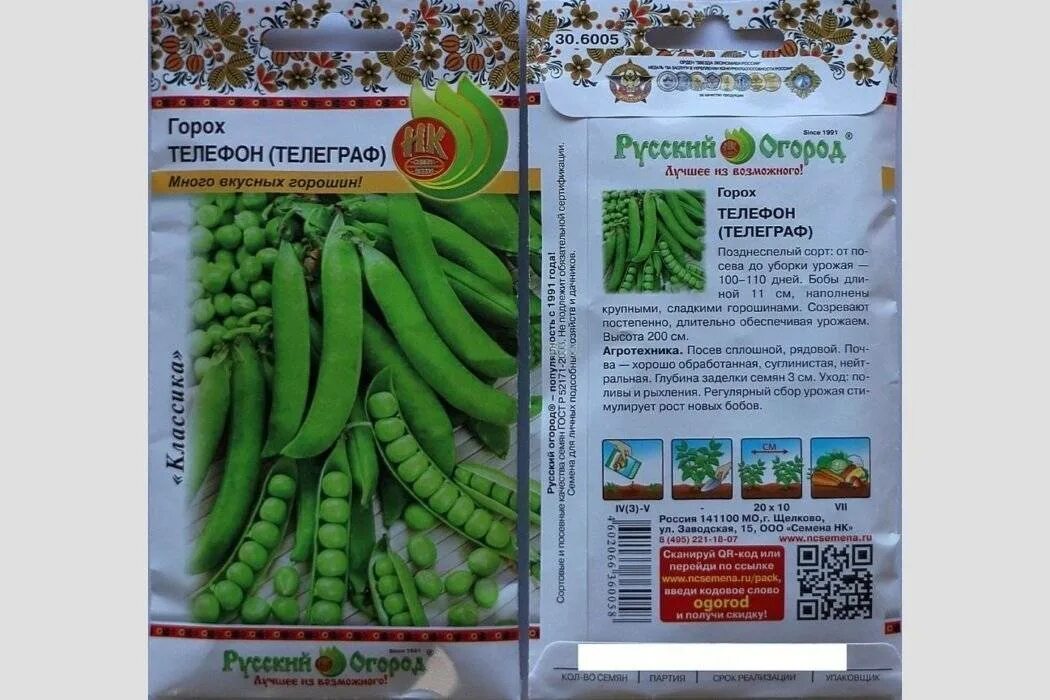 Семена гороха посевного. Горох растет. Схема слова горох. Прорастание семян гороха нута. Горох сколько семян.