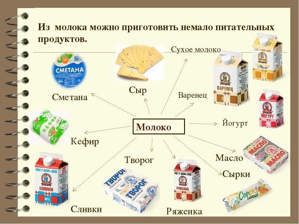 Молочные продукты. Виды молочных продуктов. Продукты из молока. Молочные продукты для дошкольников.