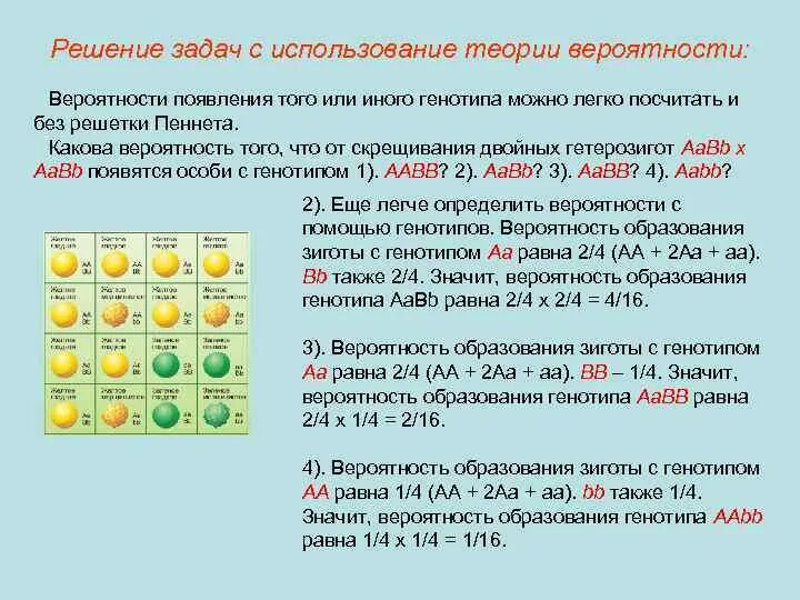 ААВВ ААВВ. Организм с генотипом ААВВ образует следующие типы гамет. Организм с генотипом ААВВ образует. Гаметы ААВВ. Возможные варианты гамет у особи с генотипом