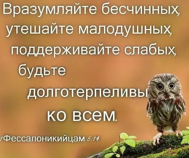 Вразумляйте бесчинных утешайте малодушных поддерживайте слабых. Будьте долготерпеливы.. Умоляем также вас братия вразумляйте бесчинных. Господи вразуми.