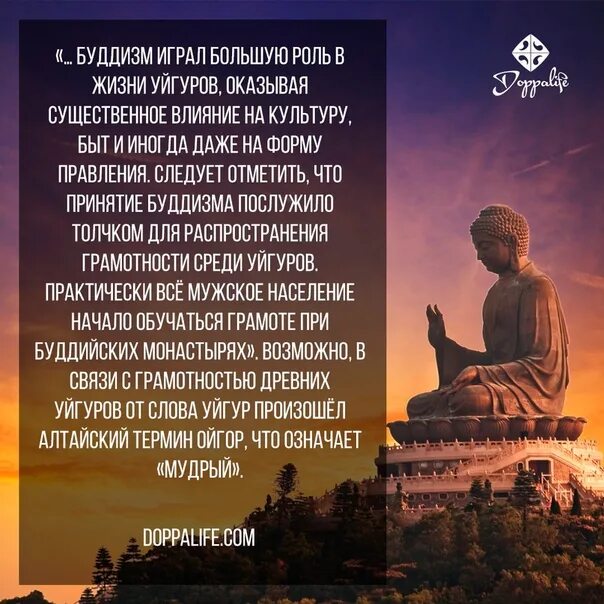 Роль буддизма. CJJ,otybt j ,ellbpvt d hjccbb. Буддизм в современной России. Современный буддизм.