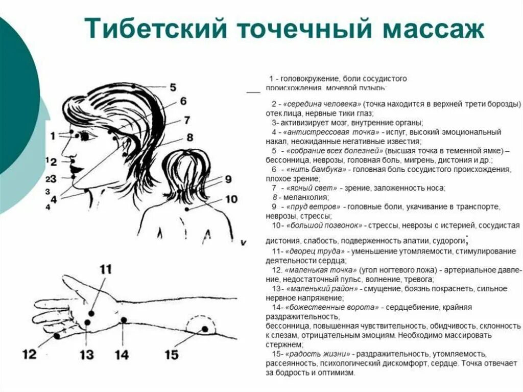 Какие точки зрения на причины и способы. Тибетский точечный массаж схема и описание. Точечный массаж схема и описание точек. Точечный массаж от головокружения. Точки воздействия точечного массажа.