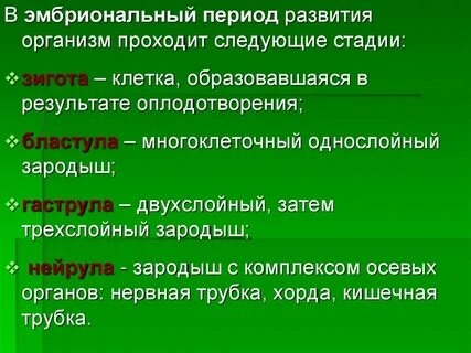 Какое развитие называют эмбриональным