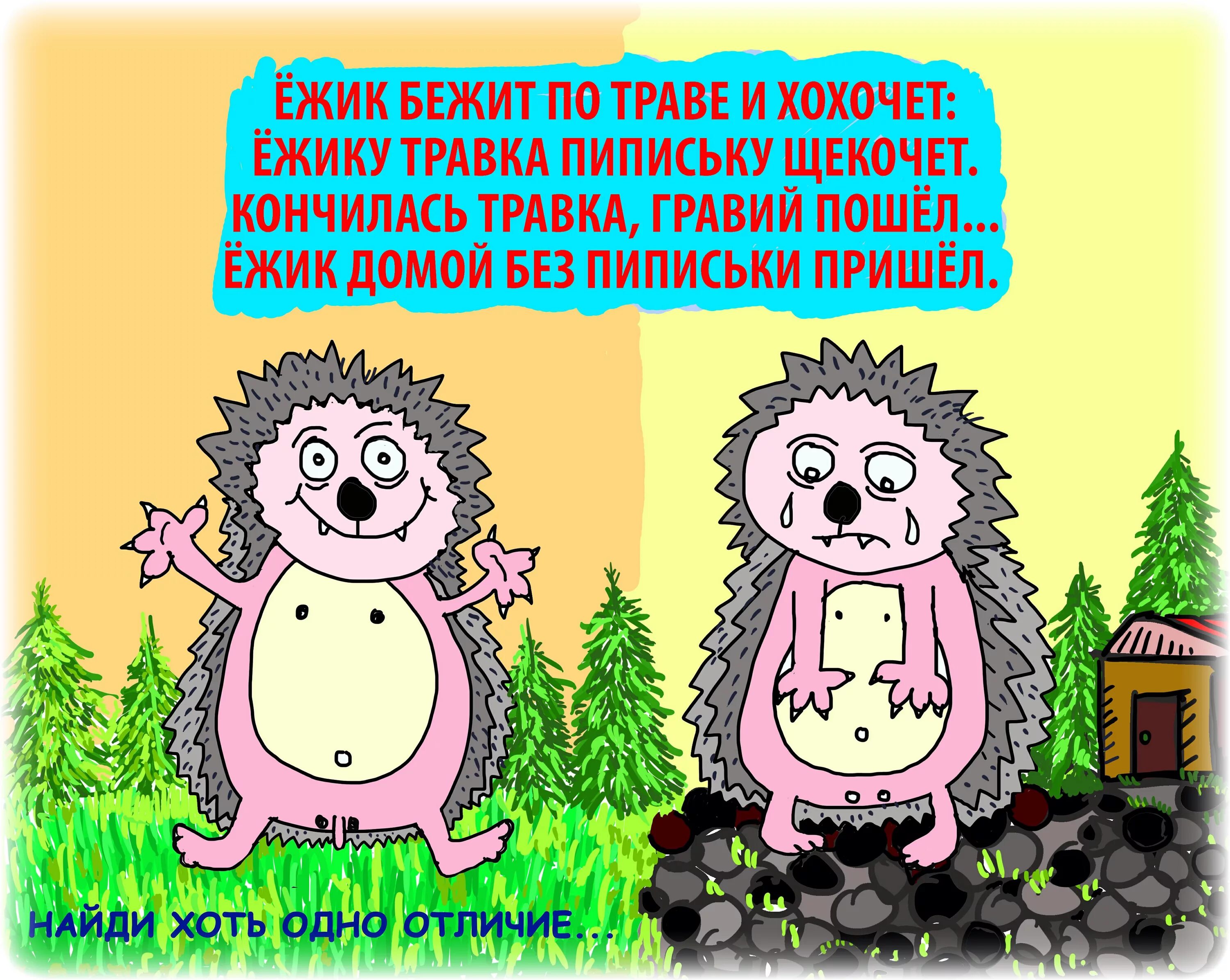 Некоторые ежики являются кустами все кусты любят
