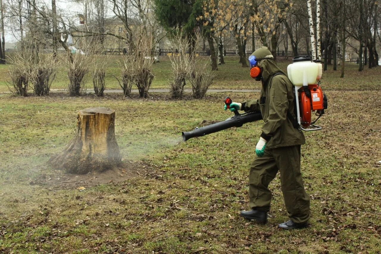 Уничтожение клещей на участке. Обработка от клещей. Акарицидная обработка. «Проведение акарицидной обработки. Обработка парков от клещей.