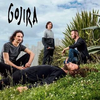 Группа gojira
