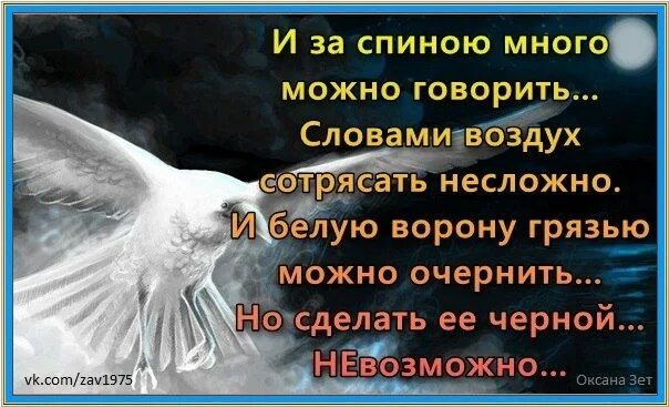 Слова со слова воздух. Ворона грязью перемажешь. Ворона грязью перемажет Крылья. Цитаты про белую ворону. И за спиною можно много говорить словами воздух сотрясать.