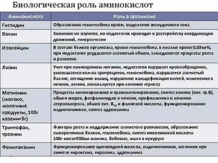 Таблица аминокислот биология