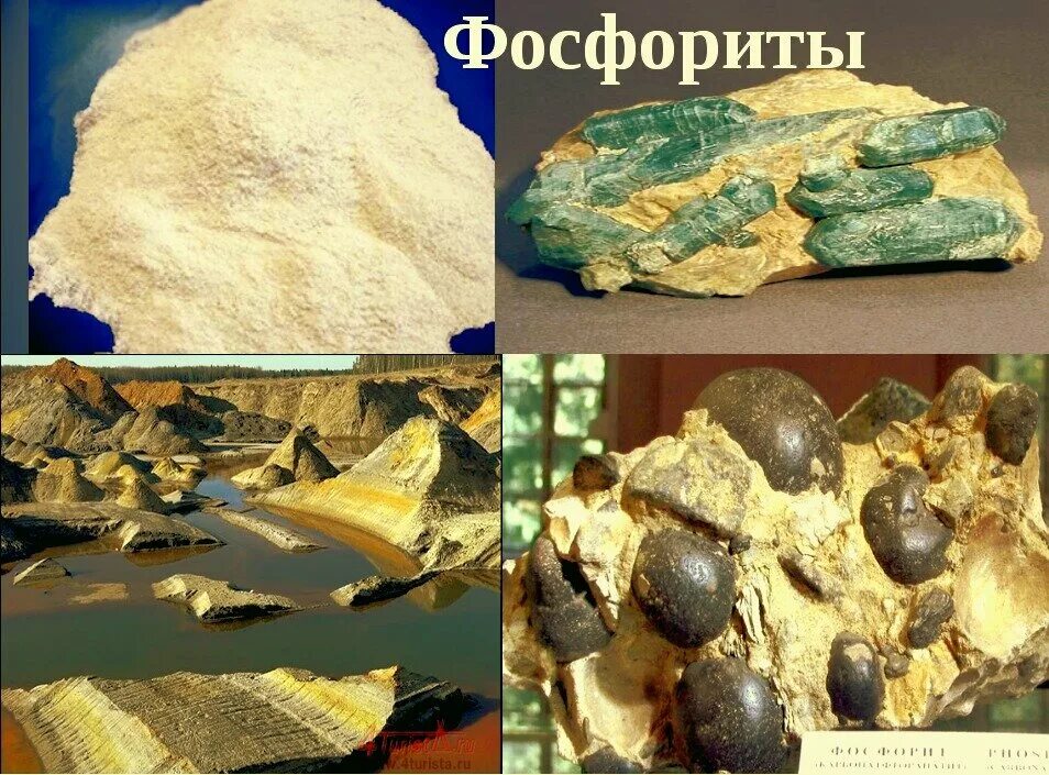 Минералы руды горные породы. Фосфорит Горная порода. Фосфорит минерал. Фосфорит минерал камень. Фосфориты полезное ископаемое.