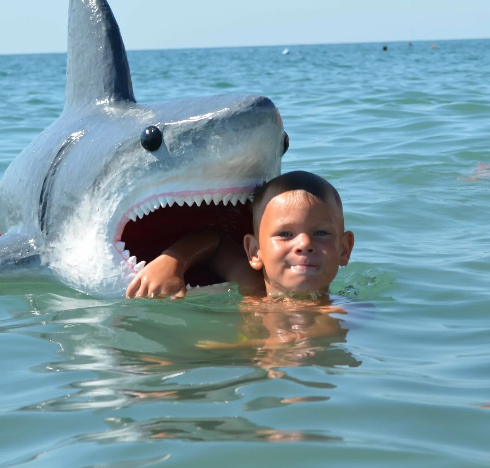 Включи акулы едят. АКУ человек. Акула рядом с человеком. Белая акула.
