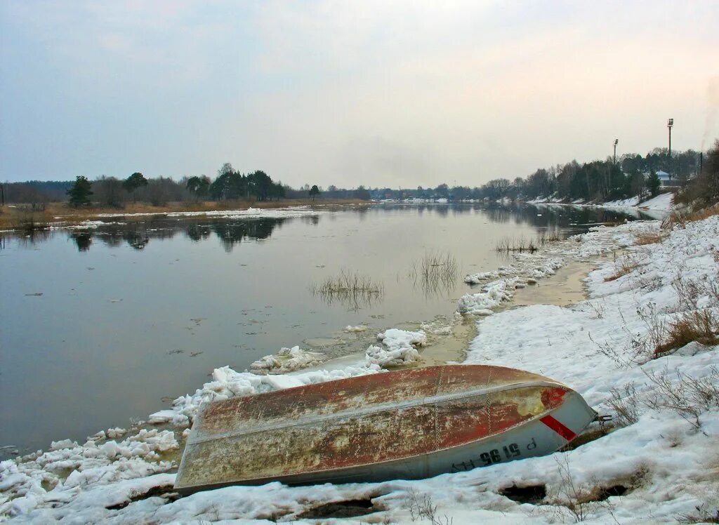 Уровень воды в реке молога. Молога Пестово. Молога река зимой в Пестово Новгородская область. Пестово река. Молога река город Пестово.